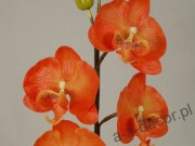 Sztuczne storczyki w kolorze pomarańczowym